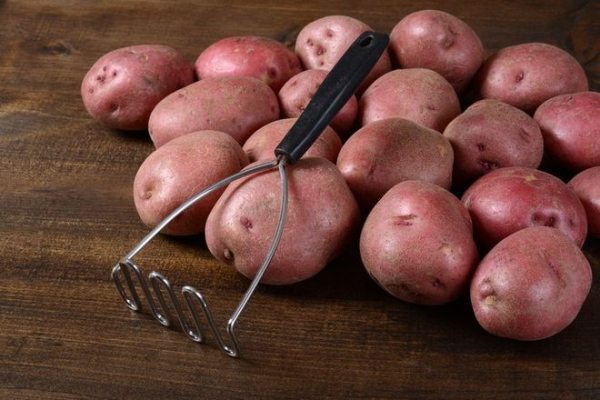 Как бороться с колорадским жуком на картофеле